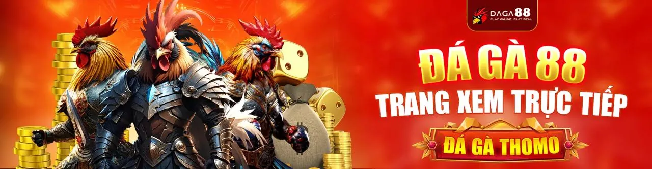 Giao diện cá cược trực tiếp ibet68, tỷ lệ kèo thời gian thực, thanh toán an toàn
