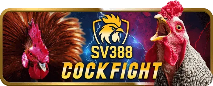 Các trò chơi và khuyến mãi trên ứng dụng ibet68 link vào